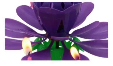 musical flower birthday candle.jpg